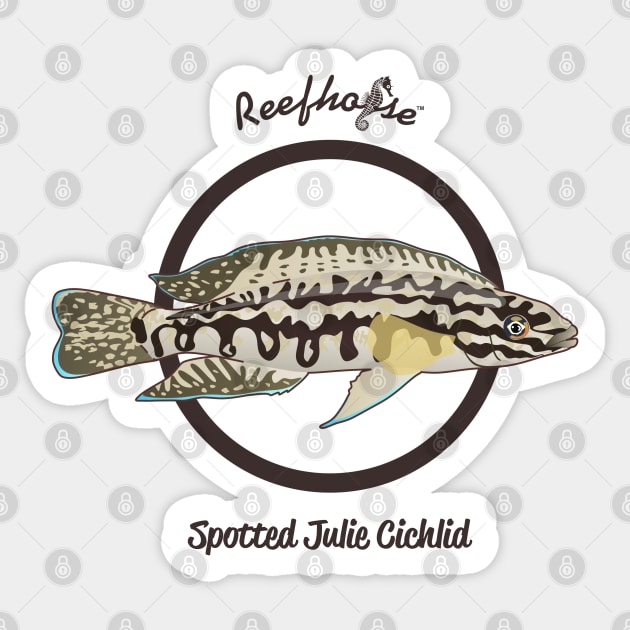 Spotted Julie Cichlid Sticker by Reefhorse